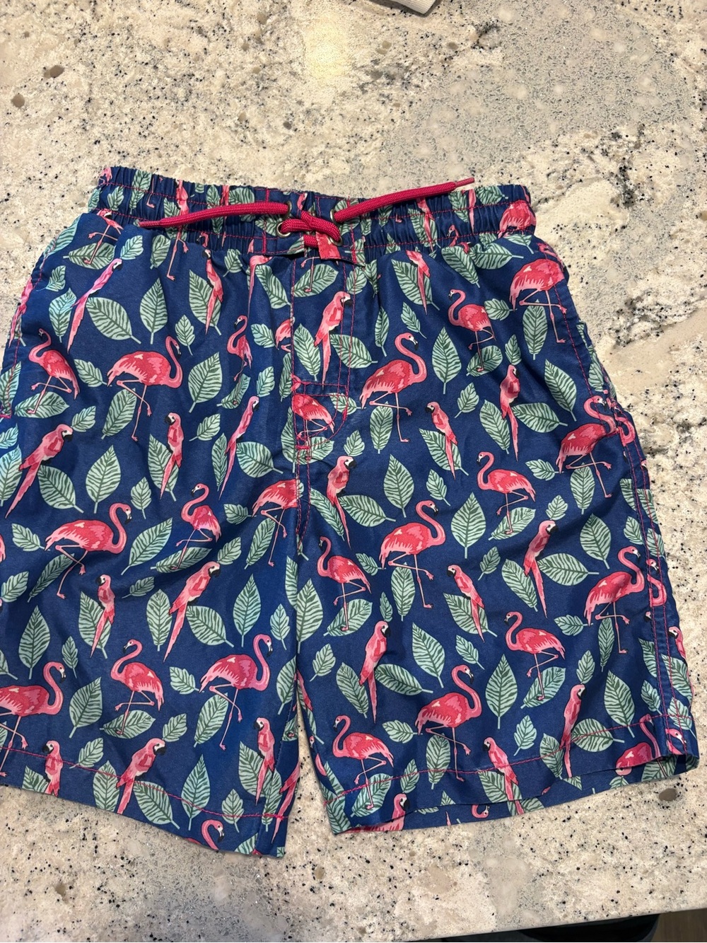 Beach bros swim shorts
